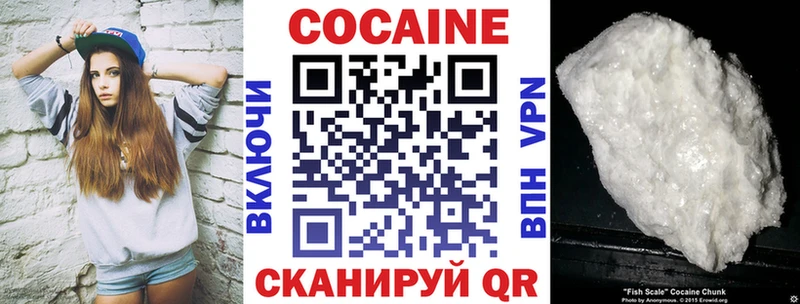 купить закладку  Гаврилов-Ям  Кокаин Fish Scale 