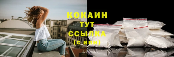 СК Бородино