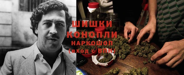 СК Бородино